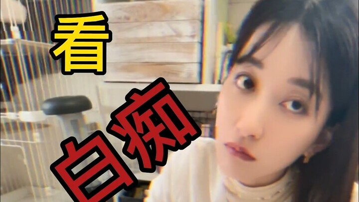 问题到底出在哪里呢？