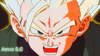 Dragon Ball Z [AMV] Hero Skillet
