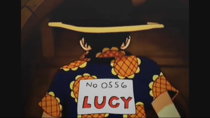 LUCYY ONEPIECE