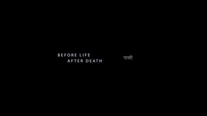 before life after death movie
