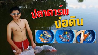 ย้ายปลาคาร์ฟไปเลี้ยงบ่อดิน l คุณพ่อคราฟ EP.51