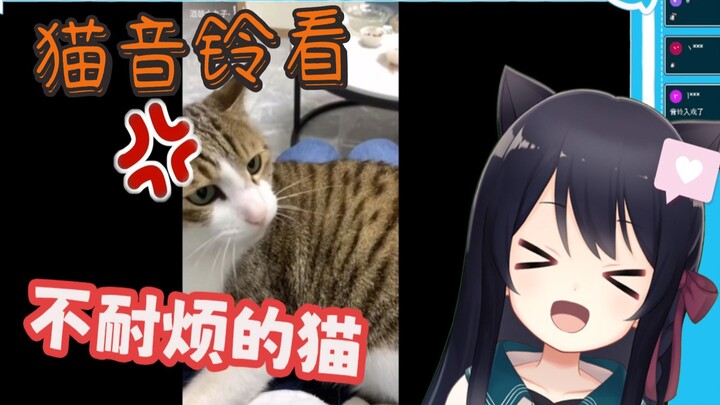 【猫音铃】猫音铃看不耐烦的猫