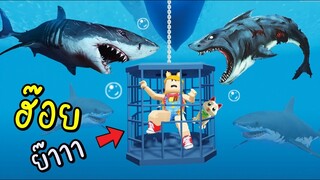 เห้ย...ฉลามบุก...!!! [พี่ซี] Roblox  Shark crazy