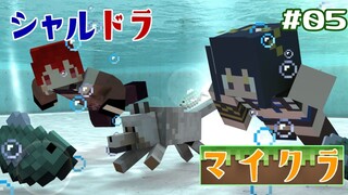 【#シャルドラ】シャルドラマイクラ共同生活！！#05【にじさんじ/ドーラ】