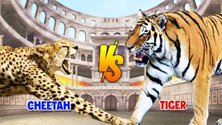 Cheetah vs Tiger | SPORE