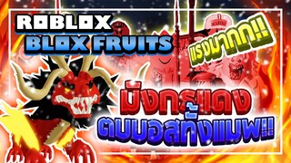 Roblox: Blox Fruits 🔥 ทดลองใช้ผลปีศาจมังกร ตบบอสทั้งแมพ!! วิธีทำให้สกิลคูลดาวน์เร็ว!? (350 MASTERY)