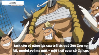 Top 6 Lệnh Truy Nã Mới Nhất Trong One Piece 2018 #1-5