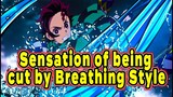 What is the feeling of being cut by Breathing Style? ｜Demon Slayer