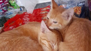 my buddies 😊 😃 😀