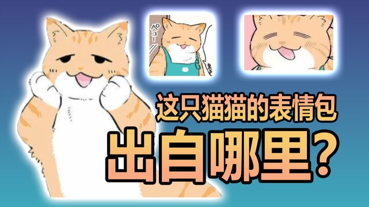 这只可爱漫画猫猫出自哪里？超可爱猫猫表情包分享