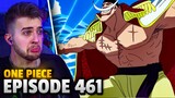 WHITEBEARD ENTERS MARINEFORD!! One Piece Marineford Episode 461 REACTION + REVIEW