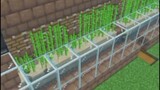 Minecraft Automatic sugarcane Farm Tutorial 1.20+