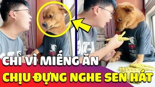 Chỉ vì 'MIẾNG ĂN' mà chú Chó phải 'CẮN RĂNG CHỊU ĐỰNG' nghe giọng hát thảm hỏa của con Sen 🤣 Gâu Đần