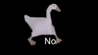 🦆 No