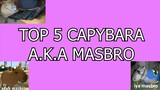 Top 5 Masbro...