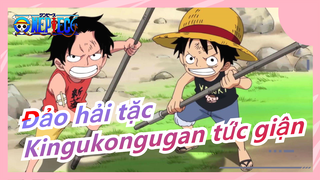 [Đảo hải tặc] Kingukongugan tức giận của Luffy!