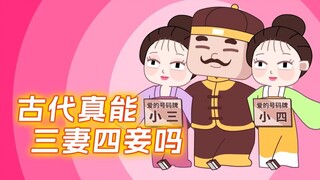 穿越回古代真能三妻四妾吗?