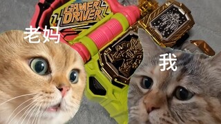 Saat ibumu menanyakan berapa harga taruhan yang tak terkalahkan