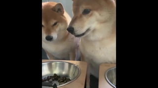 กินเองนึกถึงชามของคนอื่น
