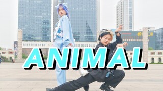 【D.B.I.】ANIMAL【原创编舞】