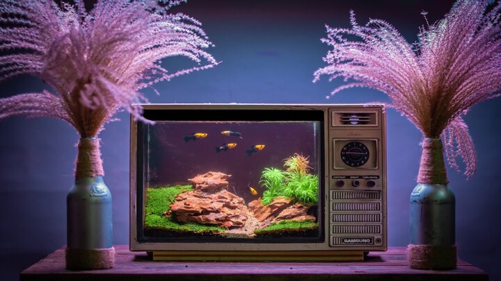 Amazing Idea - Change Damaged TV Into An AQUARIUM - 5 minute craft