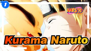 There’s No Kurama In The World! Naruto Micro Film "Partner"_1