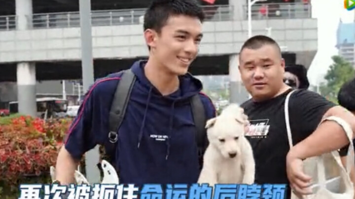 [Wu Lei] "Cross Fire" adopts stray dogs on the spot: Xiaobei first meets Xiaobei