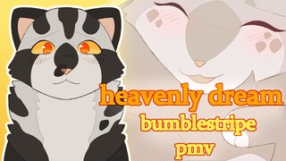 HEAVENLY DREAM - BUMBLESTRIPE PMV