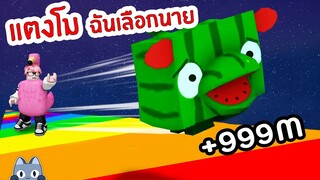 ใช้ตัวนี้ขว้าง... ไกลเหลือเชื่อ !! | Roblox Pet Simulator X 🐾