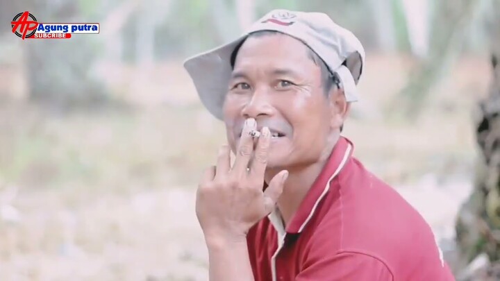 Manen sawit Harga Murah Tetap di Panen kec lalan kab muba