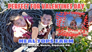 PERFECT DATING PLACE FOR VALENTINES DAY | HEAL TOPS FARM at Calunasan, Maria, Siquijor | TAGALOG