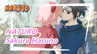 NATURO|Sakura Haruno, please stop exuding your attractive personality！