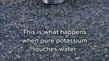 when potassium touches water