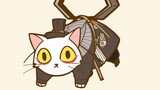 [ไดอารี่วัดต้าหลี่] แมว Live Wallpaper! ฉันจับแรคคูนตัวใหญ่ได้