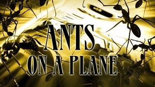 Ants On A Plane (2007) Dubbing indonesia MCFAY