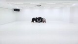 [CHOREOGRAPHY] BTS (방탄소년단) 봄날 (Spring Day) Dance Practice
