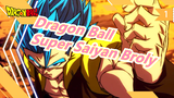 [Dragon Ball/Postingan Ulang] Tid-Gunpla, BANDAI Figure-rise Super Saiyan Broly_1