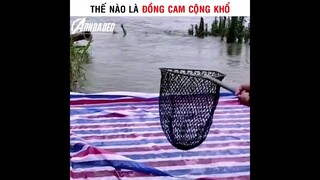 Thế Nào LÀ Đông Cam Cộng Khổ