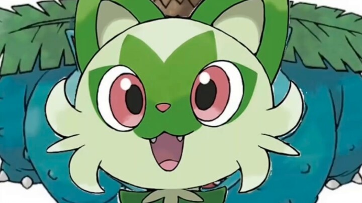 แนะนำให้เปลี่ยนชื่อเป็น Kailu Cat [doge]