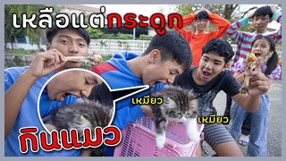 ช่วยด้วย! คนกินแมว เหลือแต่กระดูก