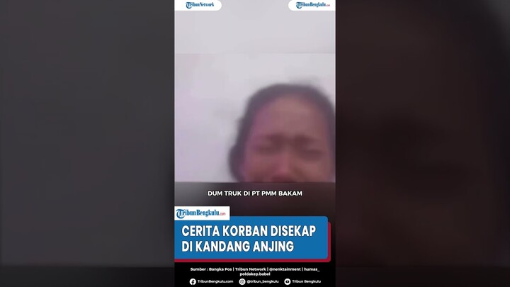 Cerita Ibu yang Disekap di Kandang Anjing Oleh Manajer PT di Bangka