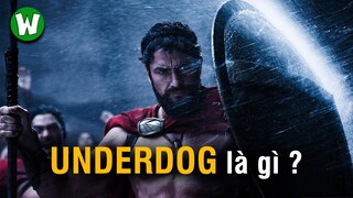 UNDERDOG: Nghệ Thuật Nâng Tầm Những Kẻ Yếu Thế