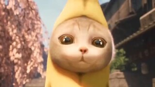 Banana Cat HD Version