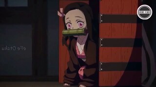 Nezuko cute moments