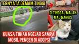 Kucing Liar Lagi Sakit Ngejar-Ngejar Minta Di Adopsi Di Jalanan ..!