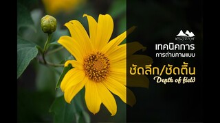 สอน ถ่ายรูป :: พรานภาพ EP 29 3เทคนิคการถ่ายภาพ ชัดลึก/ชัดตื้น