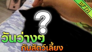 วันว่างๆ กับสัตว์เลี้ยง