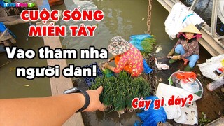 Cuộc sống bình dị của Người Miền Tây trên sông nước