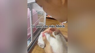 Hello Nay kiêm lun sổ giun 😂😂😂