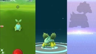 Catching shiny Turtwig, evolving into shiny Grotle and Torterra